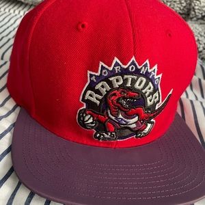 Toronto Raptors rare reflective brim fitted hat